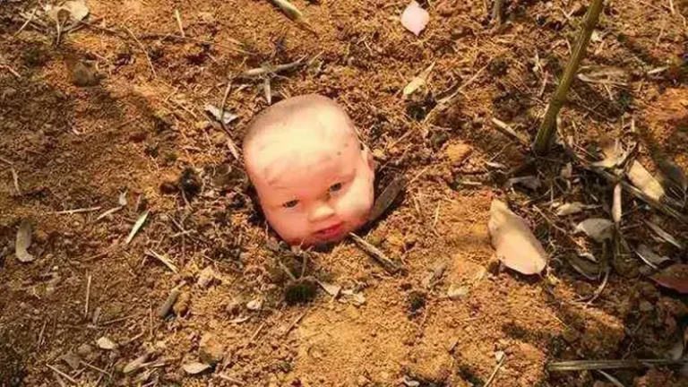 Bayi 20 Hari Dikubur Hidup-Hidup, Warga Kaget Temuan