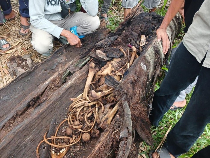 Penyelidikan Kerangka Manusia dalam Penyelidikan di Pohon Aren Sergai